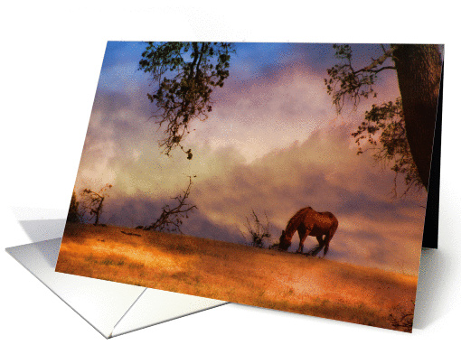 Loss of horse sympathy card horse in sunset card (1310524)