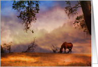 Loss of horse sympathy card horse in sunset card