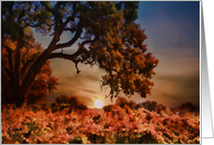 Happy Thanksgiving Fall Vineyard and Oak Tree card