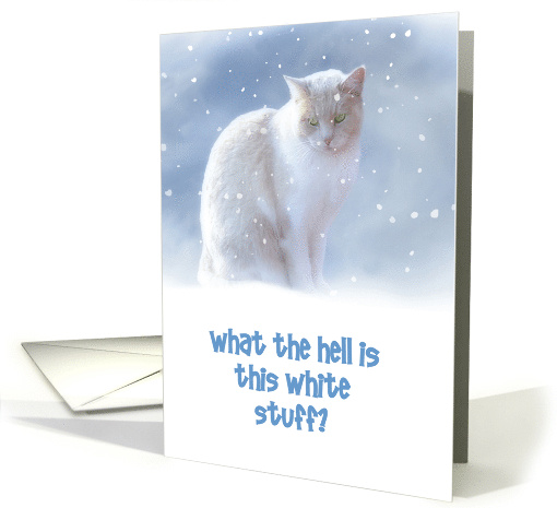 Season's Greetings, Cat in the Snow Customize Humorous card (1310582)
