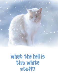 Season's Greetings, Cat in the Snow Customize Humorous