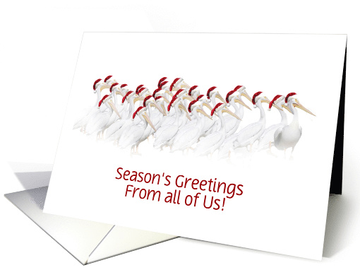 Seasons' Greetings from a Group Pelicans with Santa Hats... (1311402)