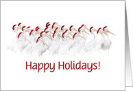 Happy Holidays Pelicans with Santa Hats Customize card