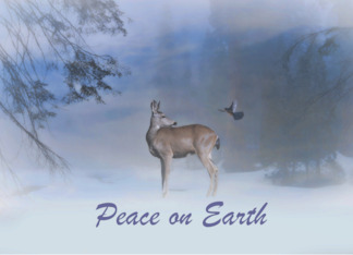 Beautiful Wildlife Deer and Blue Jay Bird Peace on Earth Customize