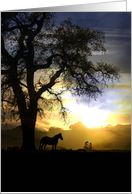 Horse and Sunset Thinking of you card
