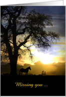 Missing you horse in the sunset Customizable card