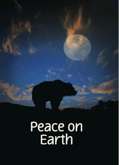 Peace on Earth Bear...