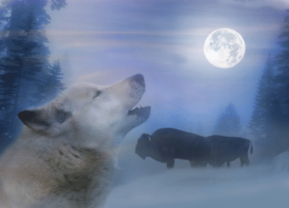 Spirit of Peace Wolf...