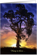 Horse and Oak Tree...