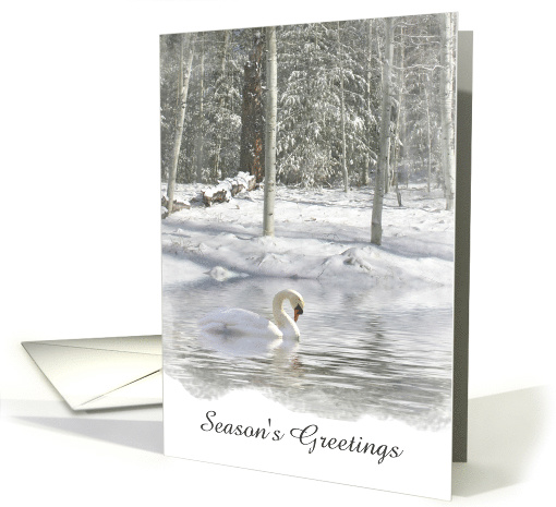 Season's Greetings Snow Swan Customizable card (1313884)