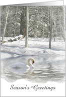 Season’s Greetings Snow Swan Customizable card