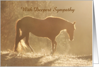 Loss of Horse Sympathy Card Customize card