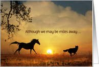 Horse & Dog in the Sunrise Thinking of you From Across the Miles Custo card