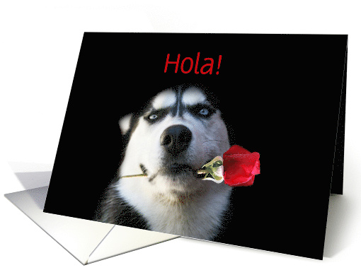 Spanish Hi Husky Dog and Rose Customize card (1323112)