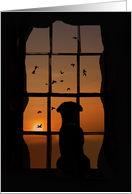 With Deepest Sympathy Dog in Window card