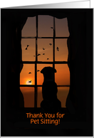 Thank you for pet sitting Customize card