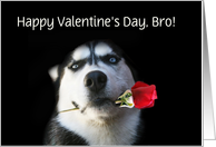 Happy Valentine’s Day Customizable Husky and Red Rose For Brother card
