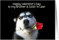 Happy Valentine’s Day Customizable Husky and Red Rose For Brother,Wife card