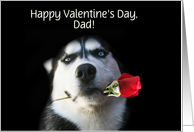 Happy Valentine’s Day Customizable Husky and Red Rose For Dad card