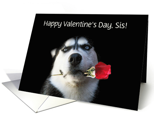Valentine's Day for Sis, or Sister Cute Husky with Rose card (1348394)