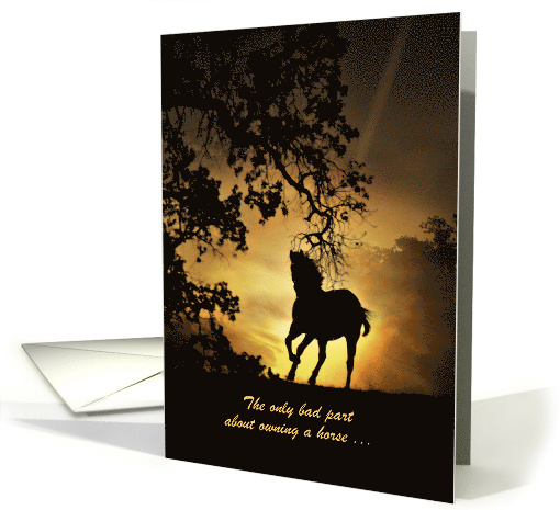 Horse in the Sunset Sympathy Card Customizeable card (1353040)