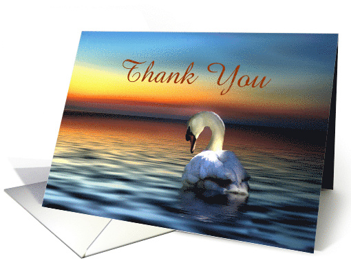 Beautiful Swan in the Sunset Thank You for your Support... (1353138)