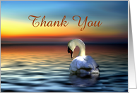 Beautiful Swan in the Sunset Thank You for your Support Customizeable card