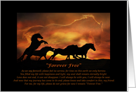 Loss of Horse Sympathy Forever Free card