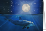 Dolphin and Moon Birthday, Universe Stars, New Age Fun Cool Happy Bday card