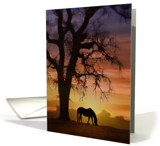 Pretty Horse in the Sunset Birthday Card with Southwestern Colors card