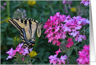 Spiritual Butterfly and Flowers Sympathy card