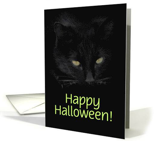 Black Cat Halloween Fun Customizeable card (1377780)