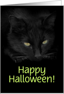 Black Cat Halloween Fun Customizeable card