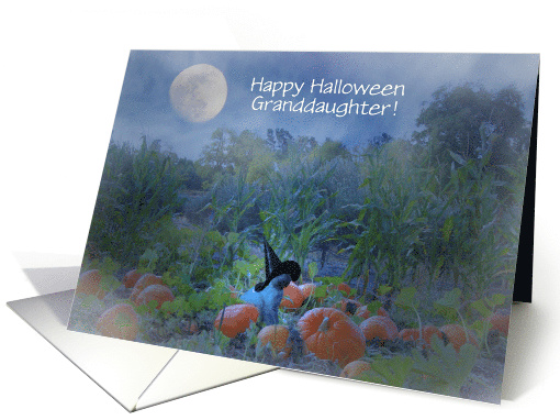 Cat and Witch Hat in Pumpkin Patch Granddaughter Customizeable card