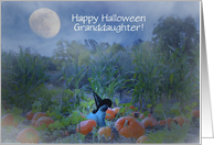 Cat and Witch Hat in Pumpkin Patch Granddaughter Customizeable card