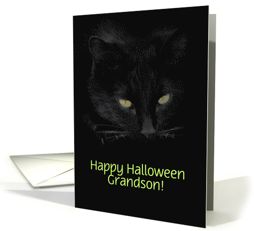 Black Cat and Witch Halloween Fun for Grandson Customizeable card