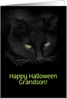 Black Cat and Witch Halloween Fun for Grandson Customizeable card