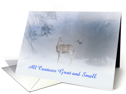 All creatures great and small Deer and Jay Christmas Card... (1385916)