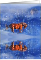 Merry Christmas Horse Running in the Snow card