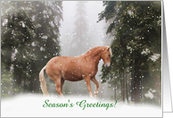 Season’s Greetings Horse in the Snow Customizable card