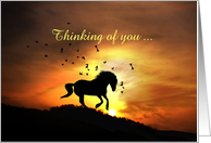 Thinking of You Horse and Sunset Running Customizeable card