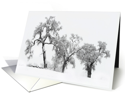 Season's Greetings Oak Trees in the Snow card (1389522)