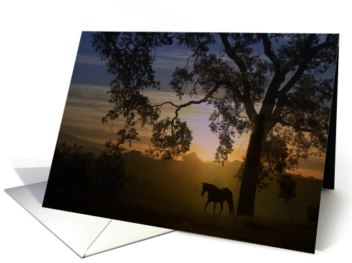 Encouragement Horse in Sunlight card (1399578)