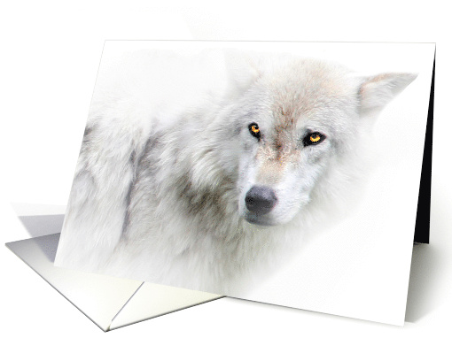 Winter Solstice Blessings Beautiful White Wolf card (1399802)
