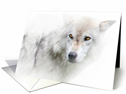 Season's Greetings Beautiful White Wolf card (1399804)