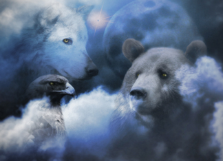 Peace Wolf, Bear,...