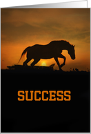 Horse Hang in There Success Encouragement card