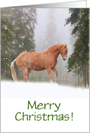 Merry Christmas Horse in the Snow Customizable card