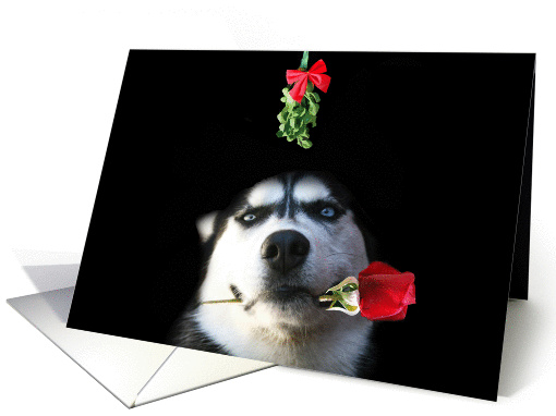 Merry Christmas Husky Mistiltoe Love card (1412218)