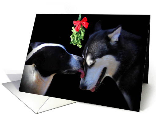 Season's Greetings Dogs and Mistiltoe card (1412226)